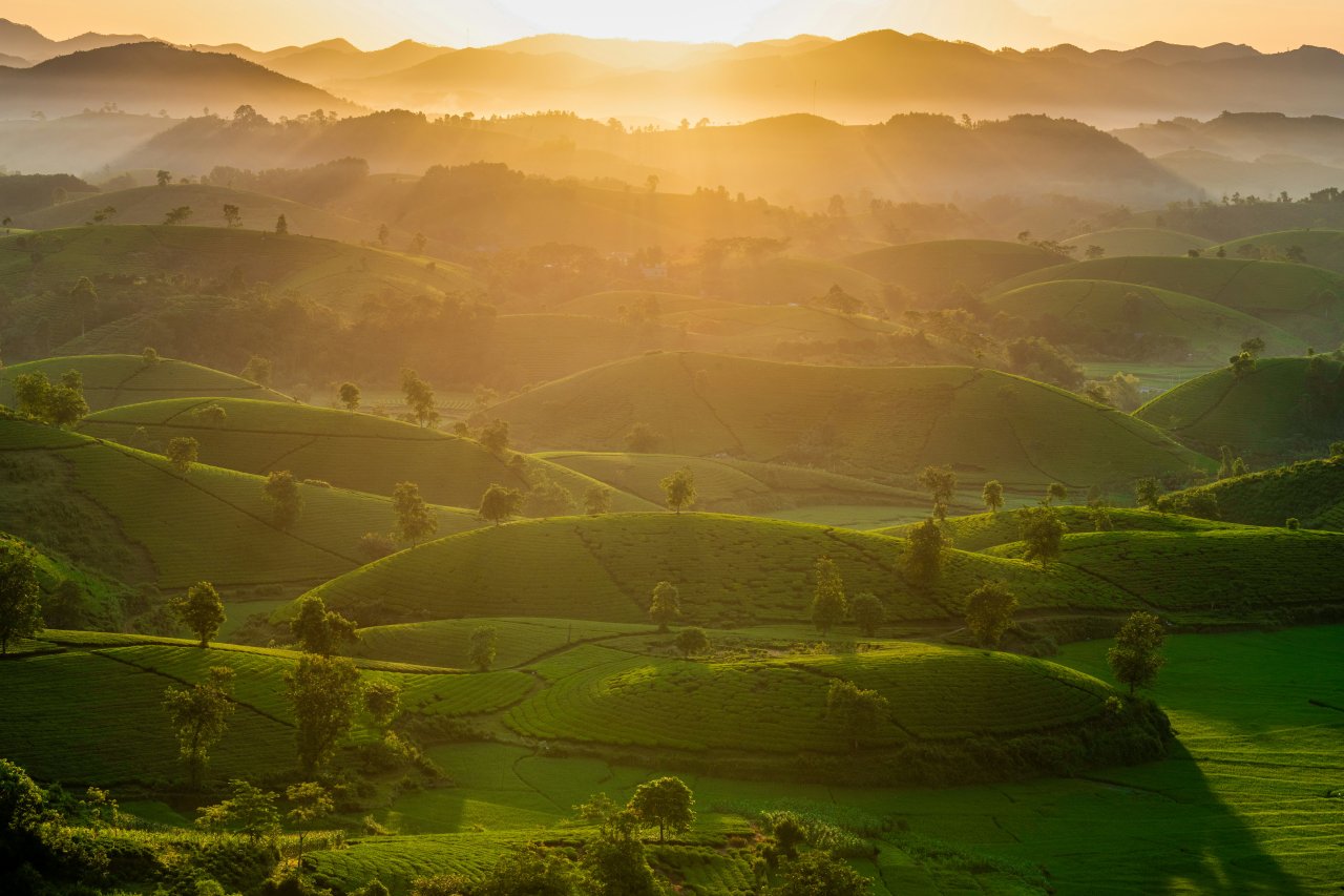 Eine grüne Hügellandschaft mit Sonnenuntergang.